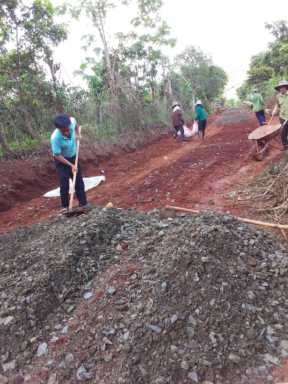 z4437252368619_936893aee39c6d8430adc2d8623b7c99