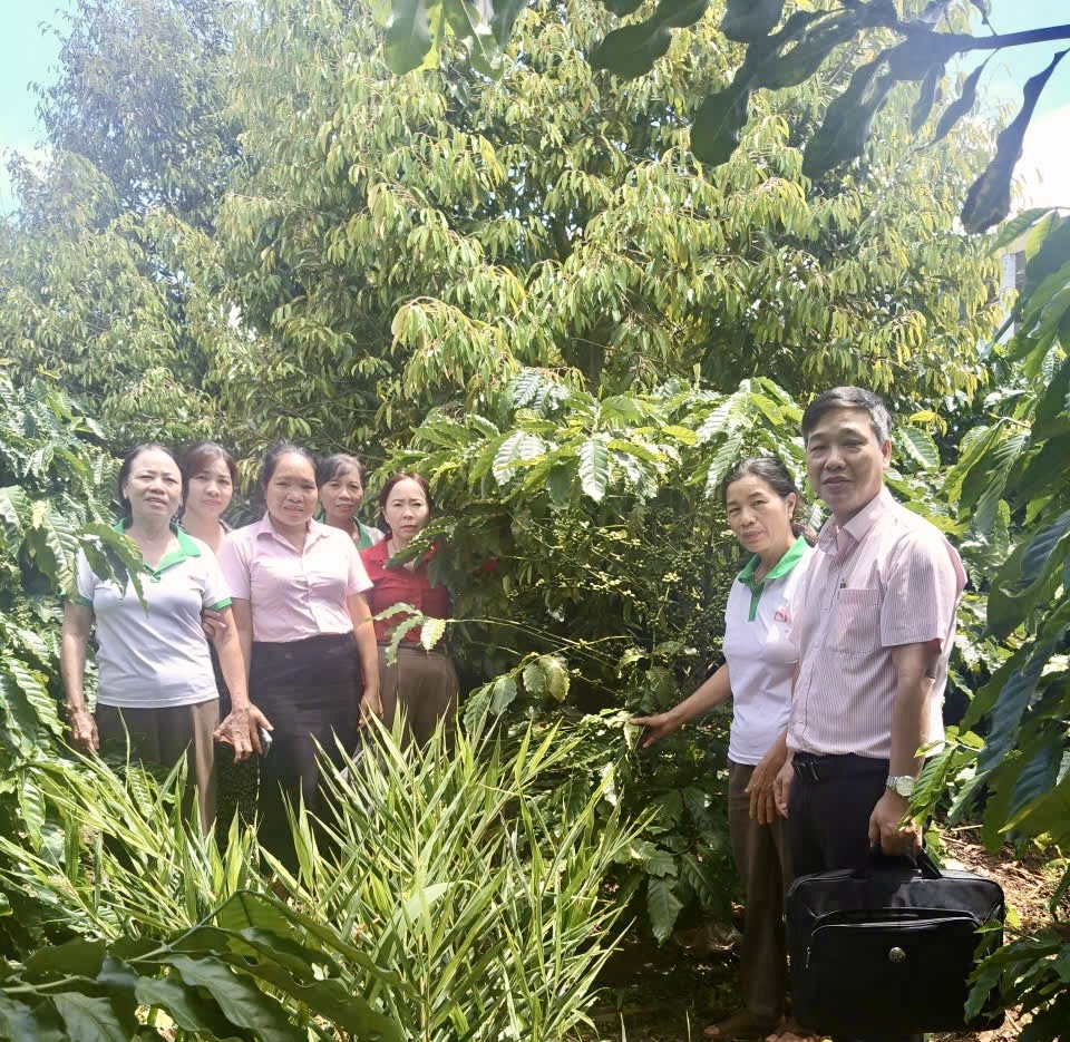 VỐN ƯU ĐÃI MỞ HƯỚNG THOÁT NGHÈO BỀN VỮNG Ở EA HIAO